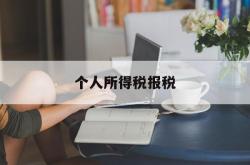 个人所得税报税(个人所得税报税步骤)