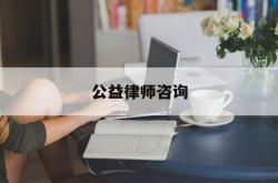 公益律师咨询(公益律师水平怎么样)