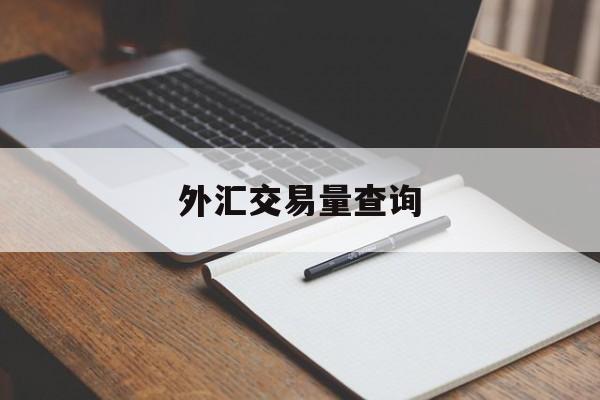 外汇交易量查询(外汇交易记录查询)